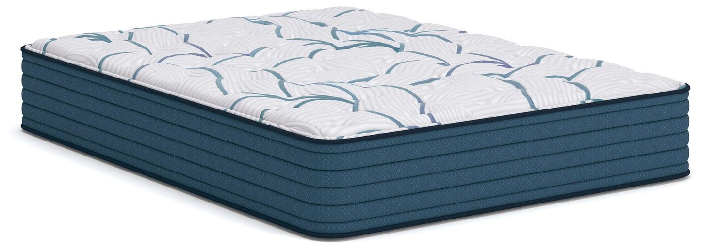 Limited Edition Plush 3.0  Mattress